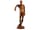 Detailabbildung:  Anatomisches Wachsmodell eines stehenden Mannes ohne Körperhaut mit Darstellung der subkutanen Muskulatur, Ludovico Cigoli, zug.