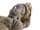 Detail images: Steinfigur einer Tyche der Gandhara-Kultur