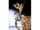 Detail images:  Großer, historischer Elfenbeinhumpen mit plastischem, figürlichem Dekor