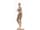 Detailabbildung: Elfenbein-Statuette einer nackten Venus