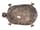 Detail images: Schildkröte