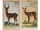 Detailabbildung:  Konvolut von fünf kolorierten Stichen mit Tierdarstellungen