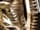 Detail images: Paar römische Silberbüsten
